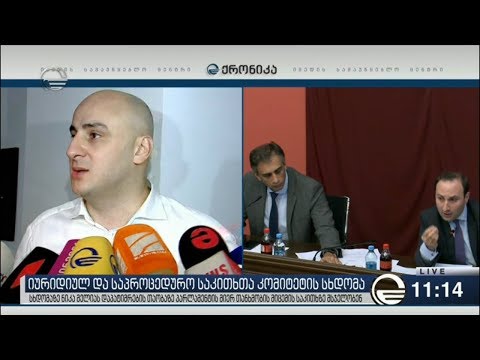 ნიკა მელია პლენარულ სხდომას დაესწრება, საპროცედურო საკითხთა კომიტეტის სხდომაზე კი არ შევა