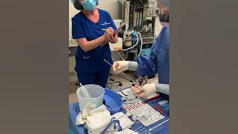 Full Surgical Count (pre-op)