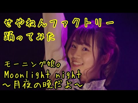 【せやねんファクトリー】Moonlight night～月夜の晩だよ～【踊ってみた】