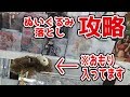 【UFOキャッチャー】ナ〇コでよくあるぬいぐるみを落とす設定を攻略してみる