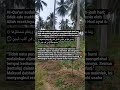 REZEKI TAK PERNAH TERTUKAR.#pepayacalifornia #fyp #aceh #kajianislam