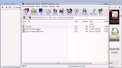 jQuery Tutorial - 116 - Show password plugin