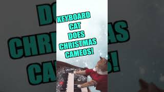 Keyboard Cat Now Doing Christmas Cameos!!!Https://Www.cameo.com/Keyboardcat?Qid=1608406806