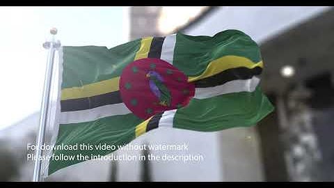Dominica flag with 3d effect blowing in the wind 3D Flag V2 long