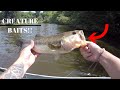 |The GRIND| Bass Fishing With a SUBSCRIBER!