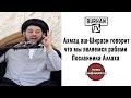 Шиит; Ахмад аш-Ширази говорит, что мы являемся рабами Посланника Аллаха