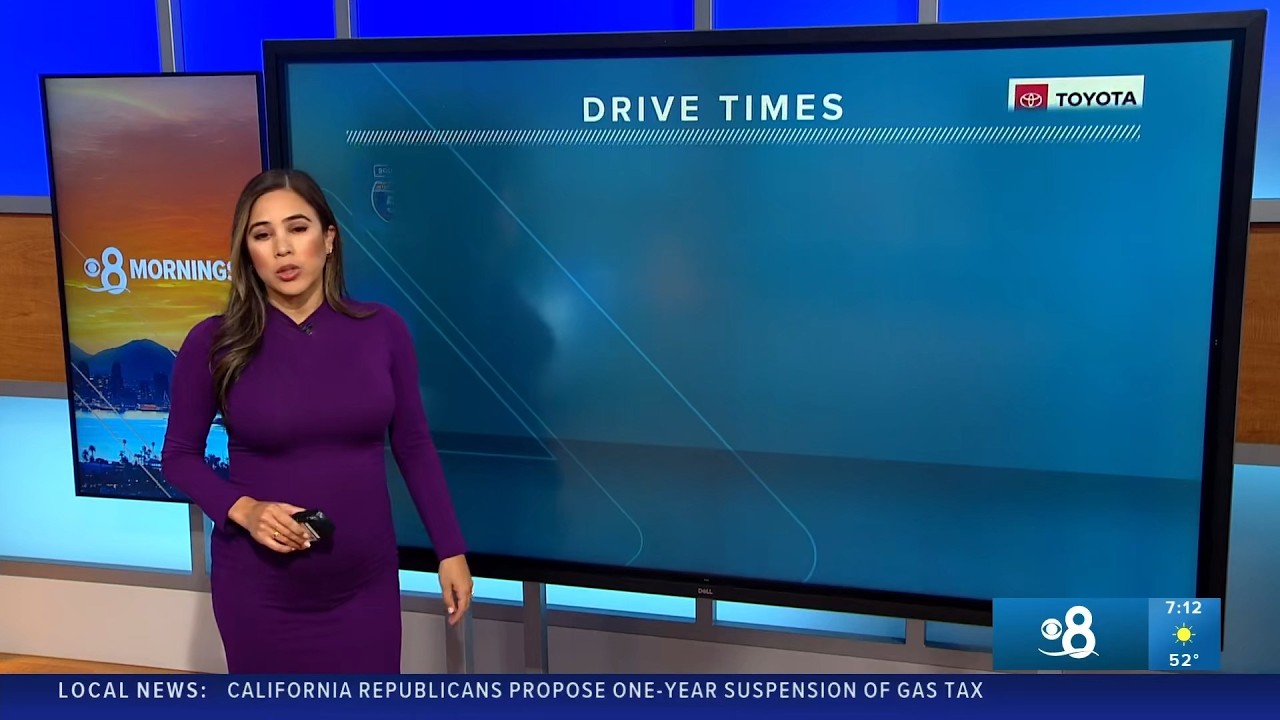 Vanessa P 2026 02 25