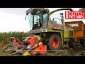 Good old Claas Jaguar 695 SL - International 955 XL - Velkemeen - Mais 2018