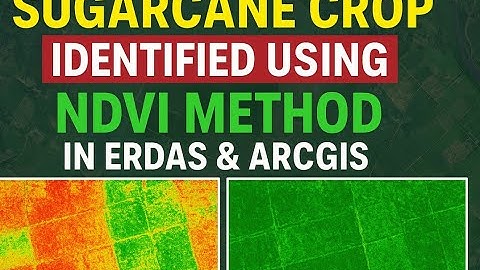 Crop Mapping: Sugarcane Crop Mapping - Crop Classification in ArcGIS. #crop #arcgis #classification