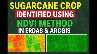 Crop Mapping: Sugarcane Crop Mapping - Crop Classification in ArcGIS. #crop #arcgis #classification