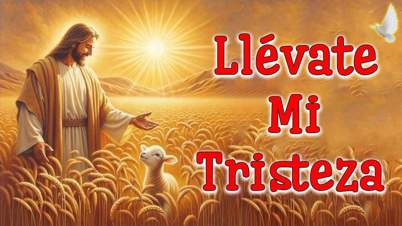 LLÉVATE MI TRISTEZA - 1 HORA MÚSICA DE ORACION PADRE CHELO DE MÚSICA CATÓLICA