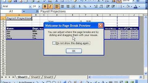 Excel 2003 Tutorial Working with Page Breaks Microsoft Training Lesson 9.1