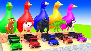 5 Giant Duck, Monkey, Piglet, chicken, dog, cat, lion, cow, Sheep, Transfiguration funny animal 2024