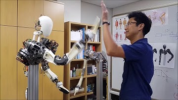 LIMS2-AMBIDEX    High-five motion test