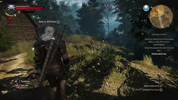 The Witcher 3 - Hunting A Witch: Find The Pond, Lone Builder, Abandoned Cart & Witches
