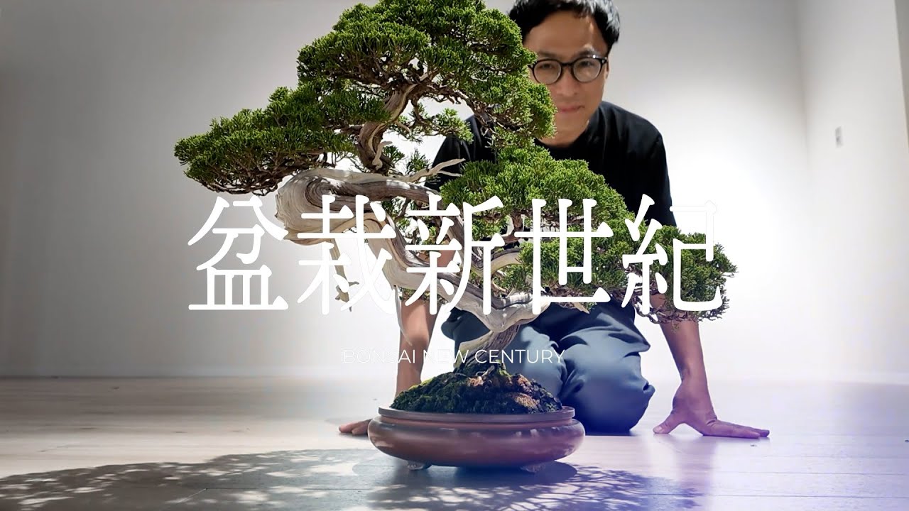 絵画 bonsai Bonsai New Century 2025 