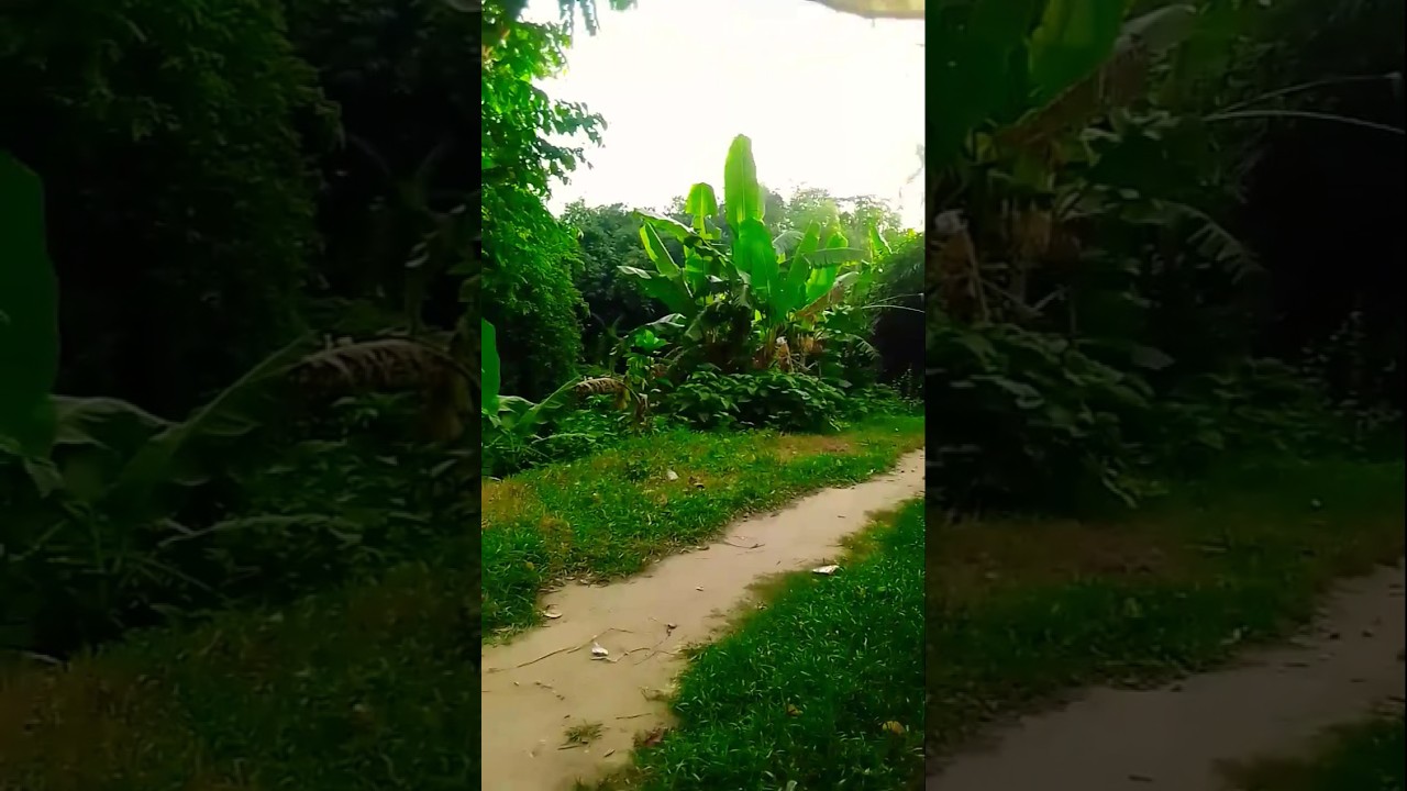 Crew Full Movie Explain In Hindi Part 2 Movie Shortsfeed Shortsviral Shortvideos Shorts - YouTube Auto PHP Script