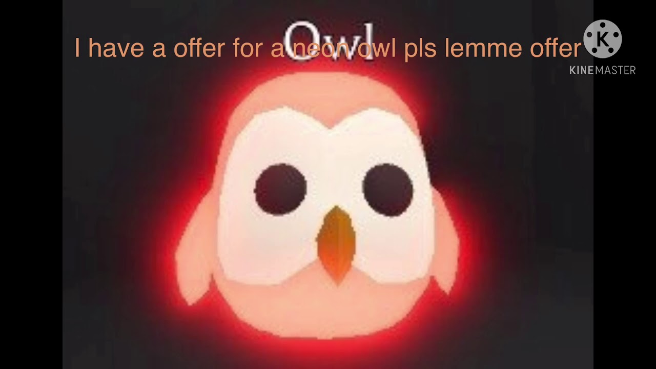 I have a offer for a neon owl pls lemme offer.