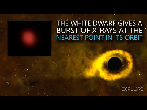 A Quick Look at a Star Survives Close Call with a Black Hole