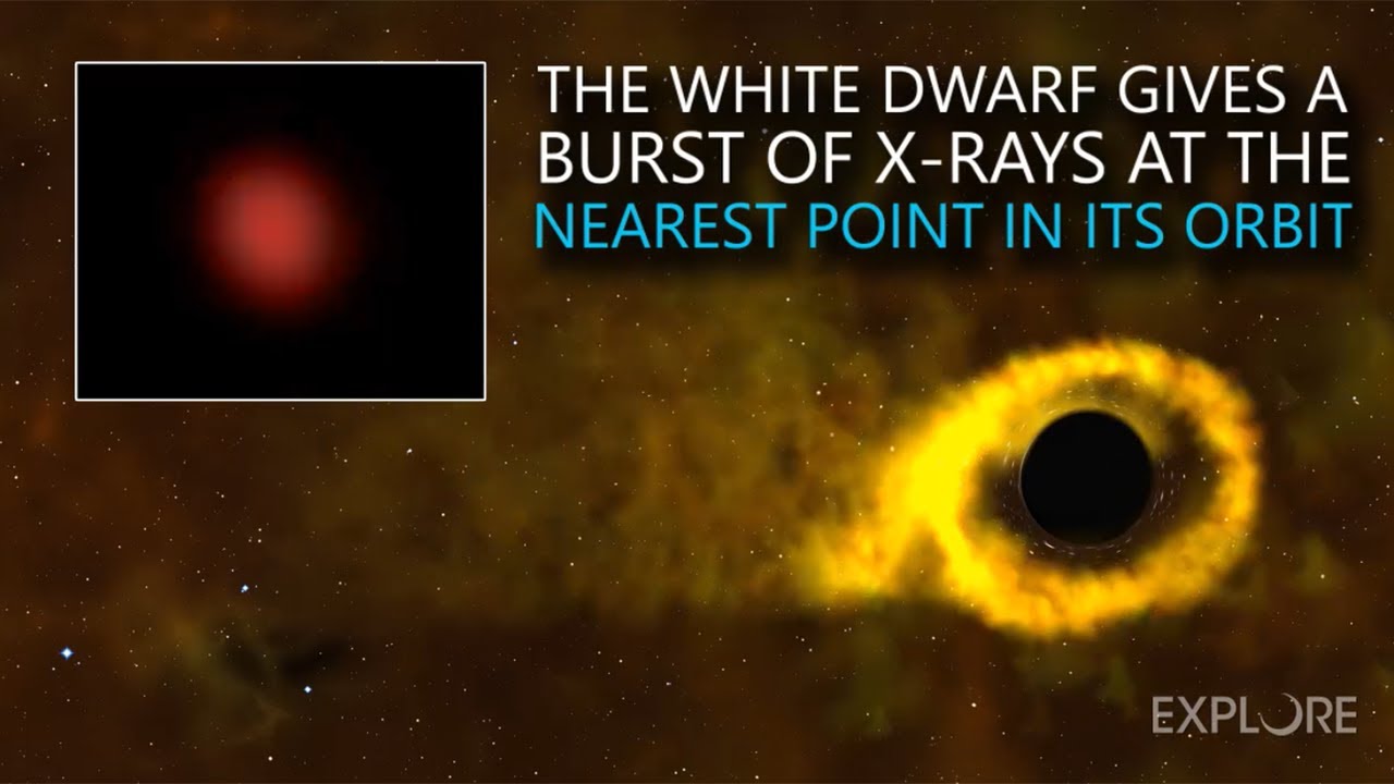 A Quick Look at a Star Survives Close Call with a Black Hole - YouTube