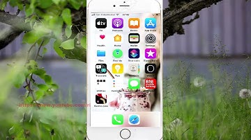 iPhone 7 : How to add or remove gesture move to previous container Voice Over command