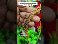 for booking 6301092733 #new #jewellery #hipchain #viral #trending #vaddanam #trend #latest