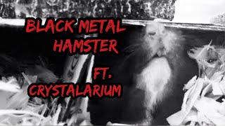 Black Metal Hamster: Exposed Innards