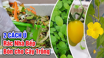 Hai cách ủ rác nhà bếp thành phân bón cho cây trồng