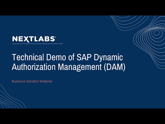 Technical Demo of SAP Dynamic Authorization Management (DAM)