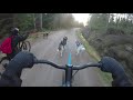 Kickbike mushing - with huskies and mexican hairless dog