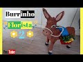 Burrinho Florista - 2 - mais fácil de fazer