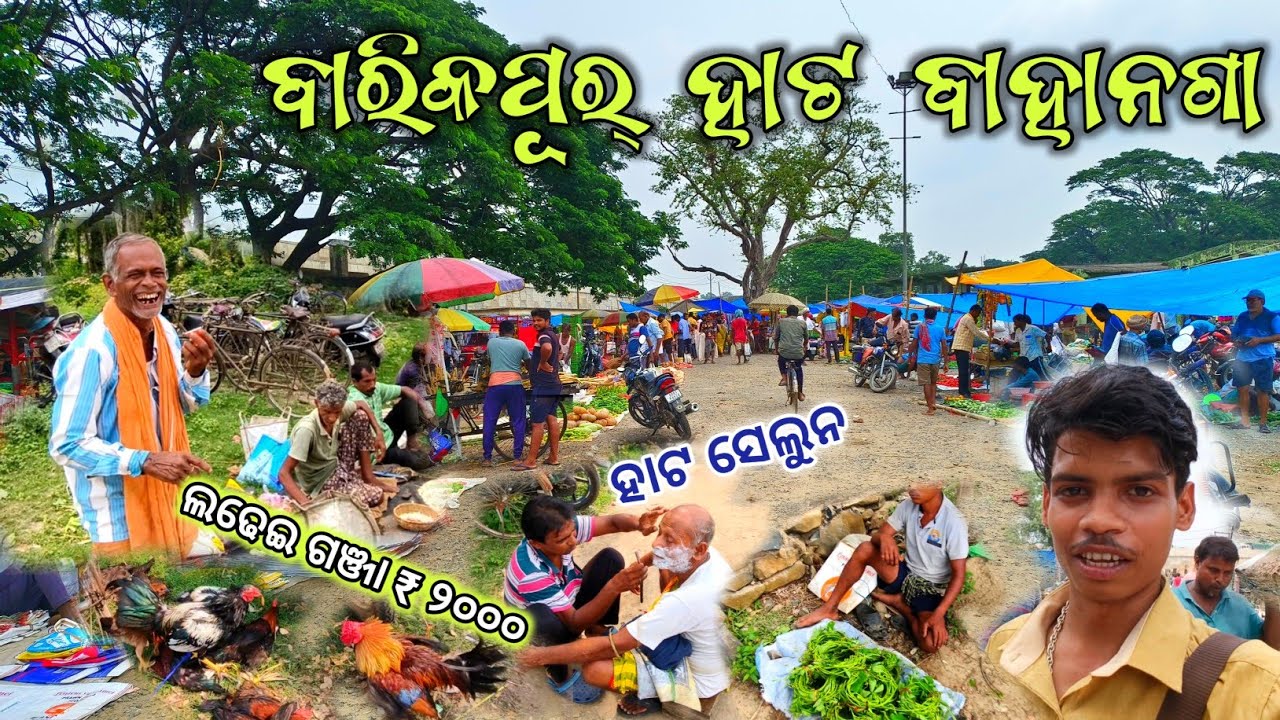 ବାରିକପୁର ହାଟ ବାହାନଗା ।। Barikpur hata bahanaga baleswar ।। Daily odia vlogs ।। Odia food vlogs ।।
