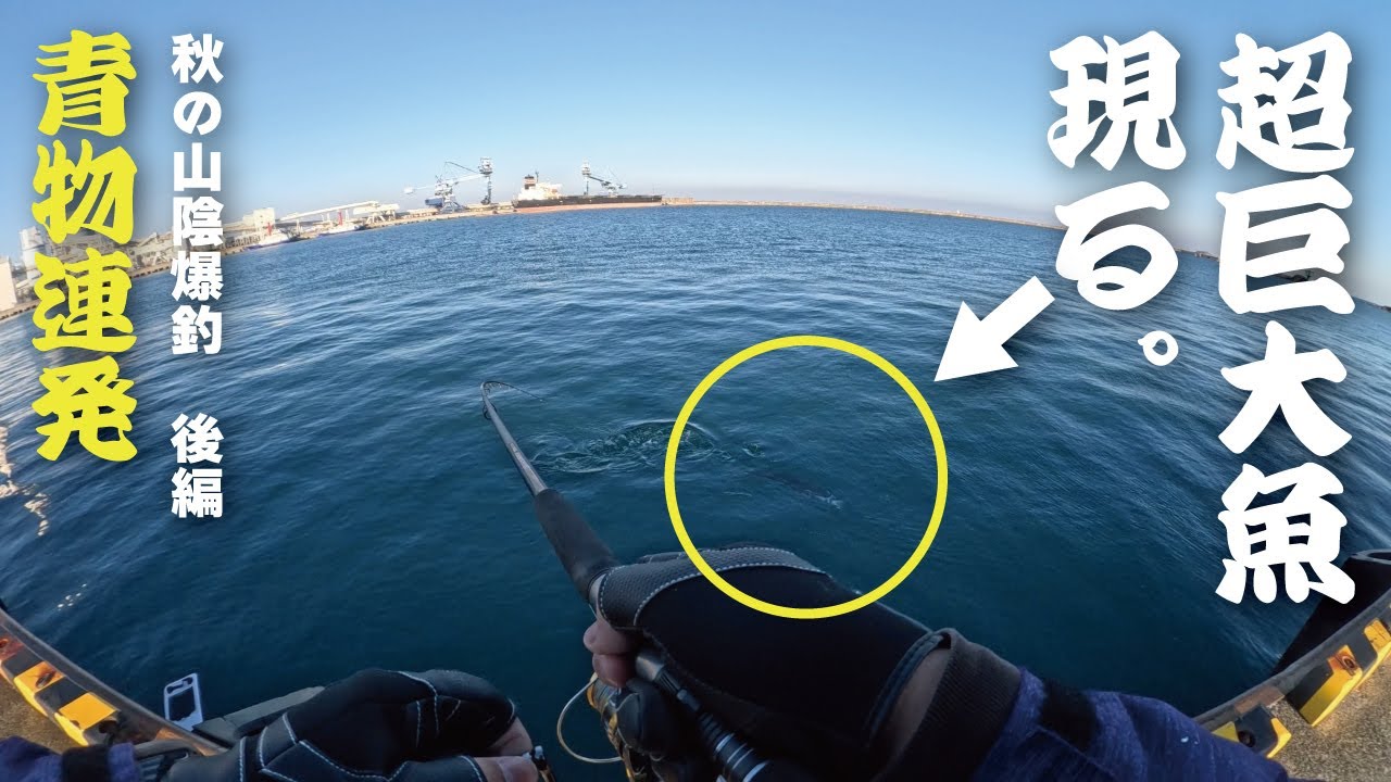 ショアジギングで青物連発からの大型ヒラマサ登場！秋の山陰爆釣【後編】島根県浜田市で青物狙いのショアジギング