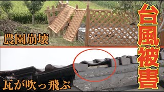 釣りよかハウス台風被害・・・