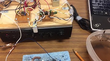 Action Potential In A Worm