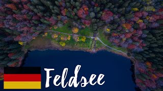 Der Feldsee Im Schwarzwald Von Oben 4K60Fps