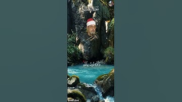 كُنتُمۡ خَيۡرَ أُمَّةٍ أُخۡرِجَتۡ لِلنَّاسِ [ سورة آل عمران , ١١٠ ] - سيد سعيد  #قرآن