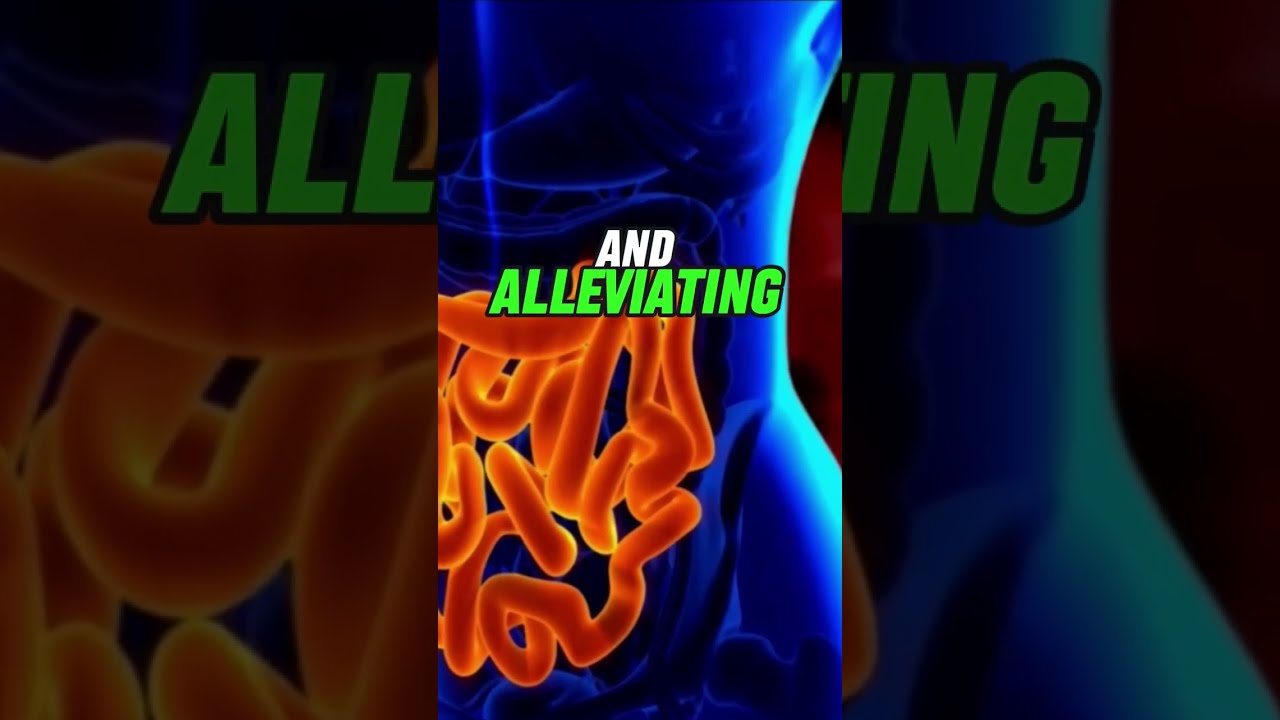 How Regular Use Of Flushing Niacin Vitamin B3 Can Heal Antibiotic Gut Damage Shorts