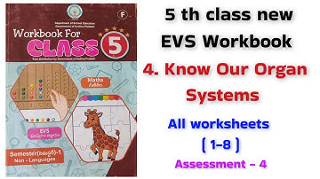 Know our organ systems worksheets #5 th class EVS workbook 4 th lesson worksheets 