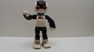 Official Build Your Own Robi Build Diary - Robi In Action!