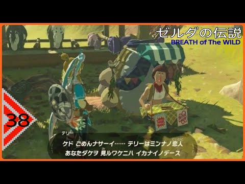 言っておくけど好みじゃないからねって言った38【ゼルダの伝説BREATH OF THE WILD】