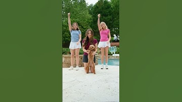 OH LORD I NEED YOU NOW 🐶🎶 #dance #christian