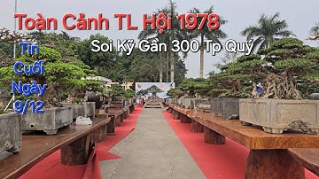 Tin Cuối Ngày 9/11 ! TOÀN CẢNH TL HỘI 1978 - SOI KỸ gần 300 Tp Quý trong KHÔNG GIAN ĐẲNG CẤP .