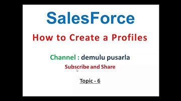 Salesforce Profiles create in Telugu