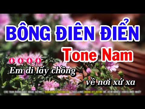 Karaoke Bông - Karaoke Bông Điên Điển - Tone Nam Nhạc Sống Mới | Huỳnh Lê