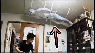 White-suited Ninja on the ceiling screenshot 5