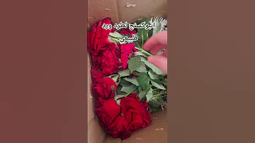 ارسل الورد داخل كرتونة لحتى لا يتلف بمسافة الطريق 
