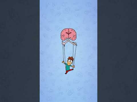 Что если удалить мозолистое тело мозга? #Мозги #Нейрон #MeetArnold