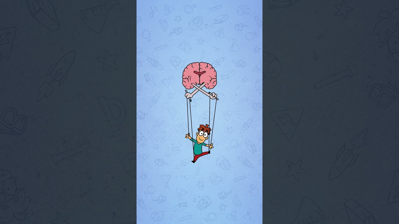 Что если удалить мозолистое тело мозга? #Мозги #Нейрон #MeetArnold