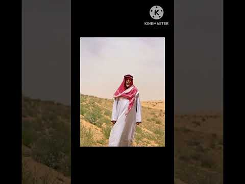 قصيدة عزي لقلبن من الهم منلاع